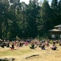 Morgonyoga i Mariebergsskogen med Yogaskolan